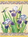 Iris Elegance (SY) Petite Folded - W/Env
