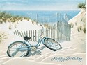 Beach Bike (BDIN) Petite Folded - W/Env