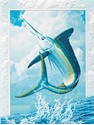 White Marlin (BDIN) Petite Folded - W/Env