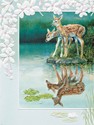 Whitetail Fawns (BDIN) Petite Folded - W/Env