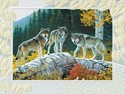 Autumn Wolves Petite Folded - W/Env