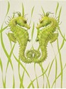 Seahorse Duo (BK) Petite Folded - W/Env