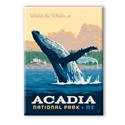 Acadia NP Whale Watching Magnet