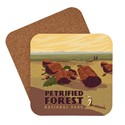 Petrified Forest National Park Coaster