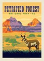 Petrified Forest NP Antelope Postcard