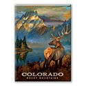 Rocky Mountains CO Mighty Elk Magnet
