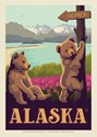 Homer AK Bears Postcard