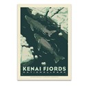 Kenai Fjords NP Whale Watching Postcard