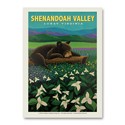 Shenandoah Valley Luray Sleeping Bear Vert Sticker