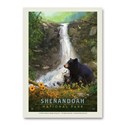 Shenandoah NP Bear Family Vert Sticker