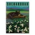Shenandoah NP Wildflower Cub Magnet