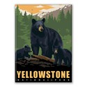 Yellowstone NP Black Bear Family Magnet