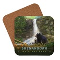Shenandoah NP Bear Family Coaster