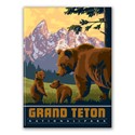 Grand Teton NP Wildlife Bears Magnet