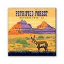Petrified Forest NP Antelope Square Magnet
