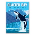 Glacier Bay NP Leaping Orca Magnet