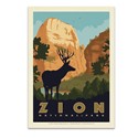 Zion NP Mule Deer Postcard
