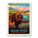 Grand Teton NP Bison Crossing Vertical Sticker