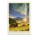 Yellowstone NP Wonderland Postcard