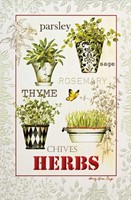 Herbs (TY)