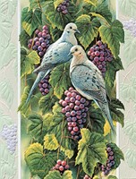 Mourning Doves (AW)