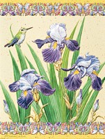 Iris Elegance (SY)