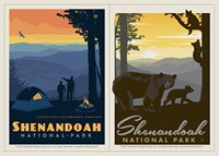 Shenandoah Back Country Camping & Mama Bear & Cubs Vinyl Magnet Set