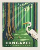 Congaree 8" x10" Print