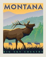 MT Elk Big Sky Country 8" x 10" Print
