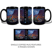 Big Bend NP Desert Perch Mug