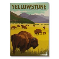 Yellowstone Bison Herd Magnet