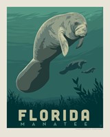 FL Manatee 8" x 10" Print