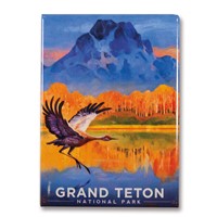 Grand Teton Sand Hill Crane Magnet