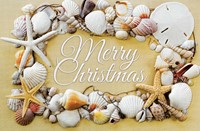 Seashell Christmas