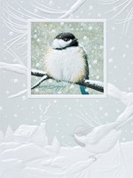 Chilly Chickadee II