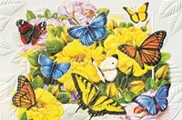 Butterfly Banquet Folded - W/Env