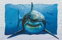 Smiley Shark (Single)