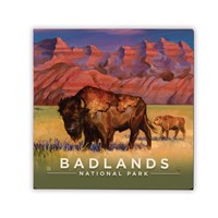 Badlands NP Bison Square Magnet