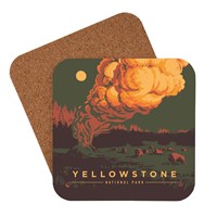 Yellowstone NP Pillar of Steam Coaster