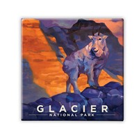 Glacier NP Mountain Goat Square Magnet
