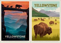 Yellowstone NP Bear Crossing/Bison Herd Dbl Magnet