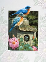Garden Bluebirds - BLANK