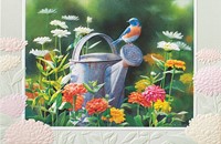 Bluebird And Zinnias (TOY) Folded - W/Env