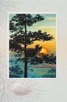Sunset Through Pines (BDIN) (Single)