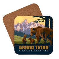 Grand Teton National Park Wildlife Bears Coaster