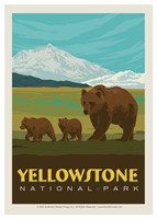 Yellowstone NP Bear Family Single Magnet