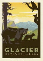 Glacier NP Mama Bear & Cubs