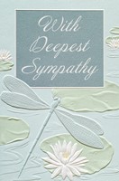Damselfly Sympathy (SY) (Single)