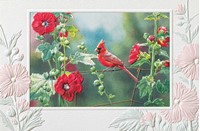 Cardinal In Hollyhocks (BDIN) Folded - W/Env