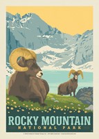 Rocky Mountain National Park Chasm Lake Postcard (Single)